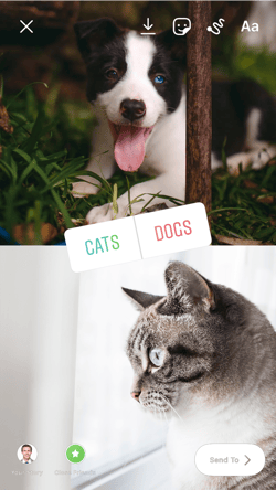 Example J.1 Cats or Dogs