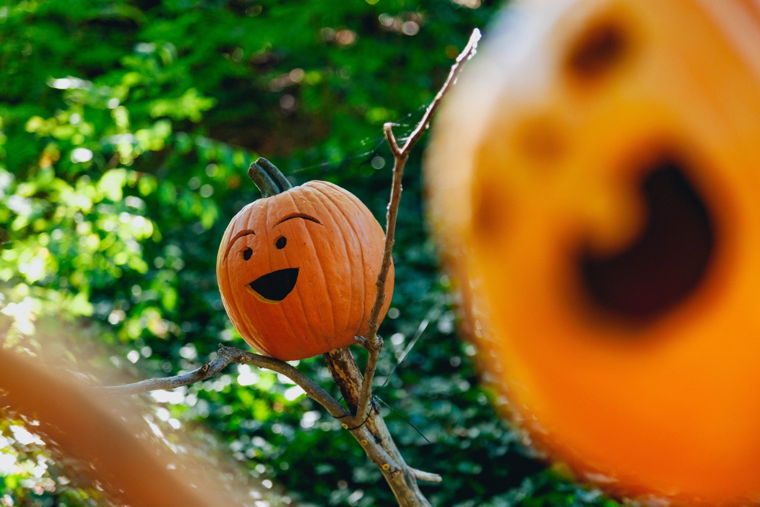 6 Halloween Social Media Posts for Real Estate Agents